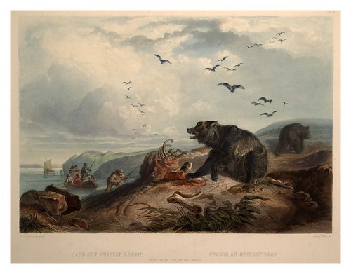0069r- La caza del oso gris