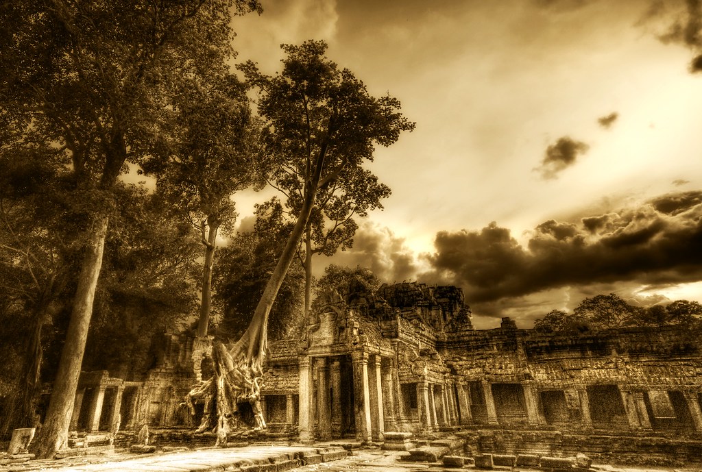 The Overgrowth in the Cambodian ruins