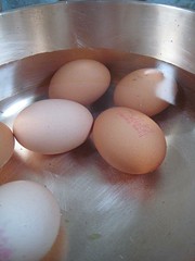 eggs for boiling