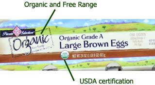 Labels on an egg carton - including organic and free range