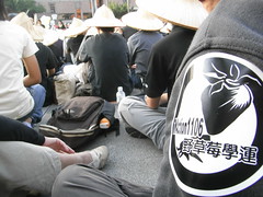 2008年11月15日，全台野草莓學運於台北自由廣場會師