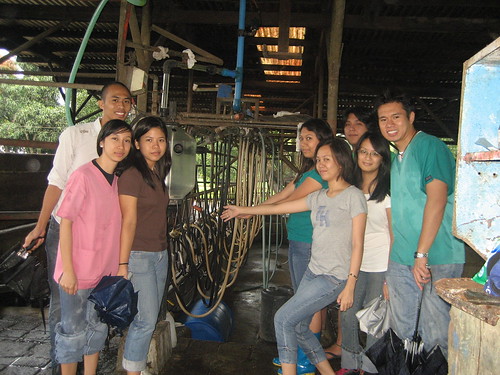 My group and another at the milking parlor.