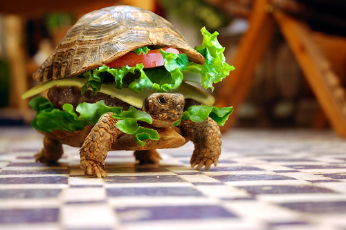 Tortoise Burger by flaunted.