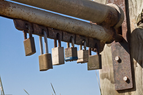 Photo of many locks securing a gate
