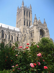 Washington National Cathedral (by: mj*laflaca, creative commons license)