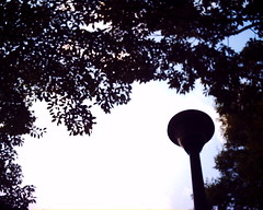【写真】VQ1005で撮影した朝の風景（木々の間の街灯）