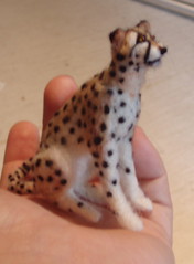 Gepardi - Cheetah