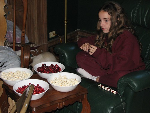 string popcorn and cranberries
