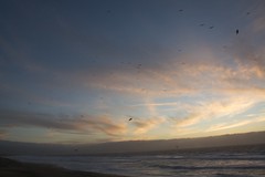 Birds and Clouds and Sea