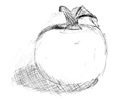 apple_drawing