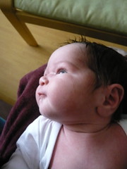 Baby in profile