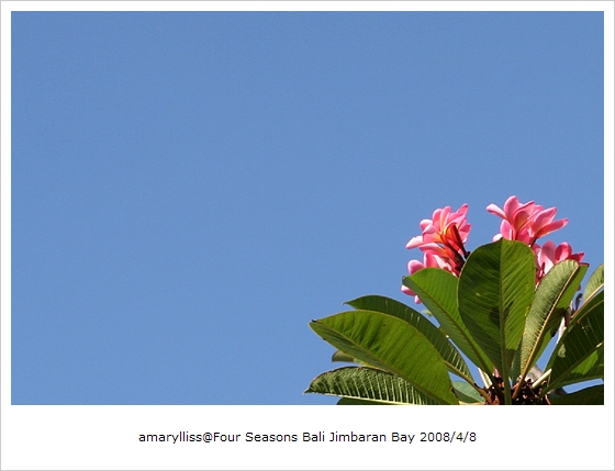 [Bali2008] 金巴蘭四季飯店 Jimbaran Four Seasons Resort(6)飯店風景(新增巴里島音樂影片) @amarylliss 艾瑪。[ 隨處走走]