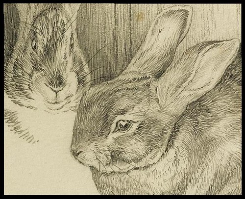 Two Bunnies (detail)