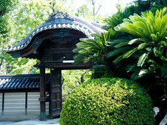 Shitennoji Temple & Garden Osaka 2008