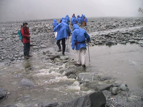 2002NCT紐西��～Fox Glacier