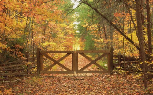 Autumnal Portal