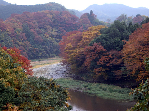 autumn leaves, 2008 okutama, tokyo
