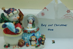 Day 6: Buy Christmas Tree