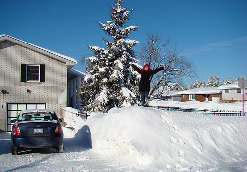 Top of the snowbank
