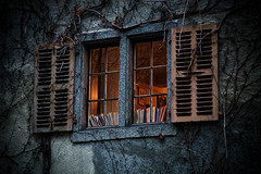 window, © Chris Marquardt