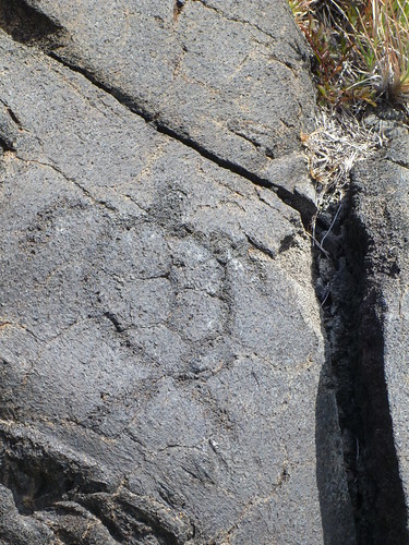 Honu Petroglyph