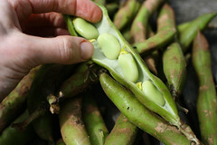 Shelling Broad beans