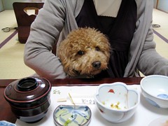 松本・浅間温泉　坂本の湯の朝食