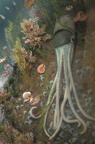 redpath squid