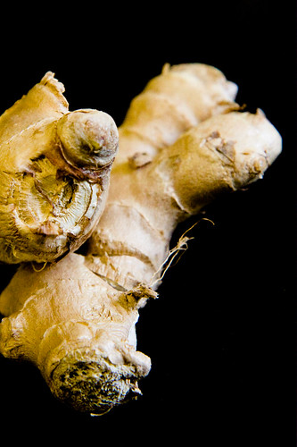 Ginger Root by 
J. Pollack Photography.