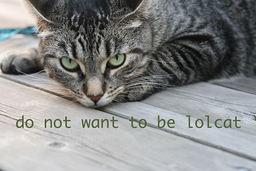 do not want to be a lolcat