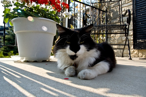Loungin on the stoop.