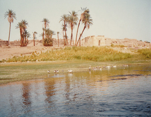  The River Nile - Egypt 