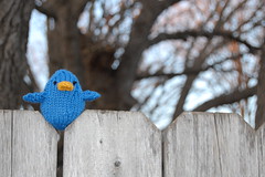 Twitter Bird on the Fence