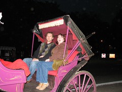Carriage Ride