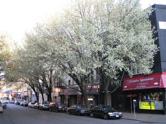 Brookspring -- Fulton Street