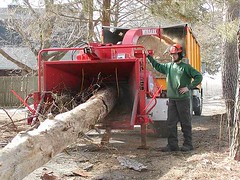 Tree chipping