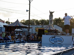 100 Things to see at the fair #69: National Diving Dogs
