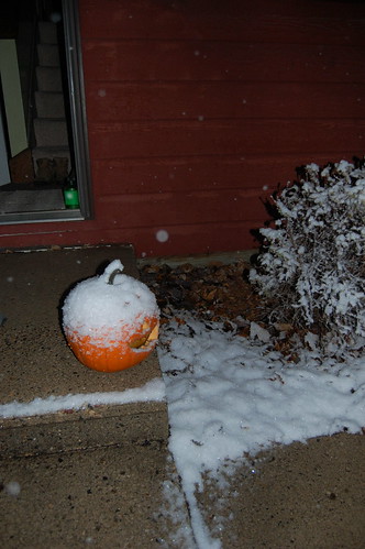 snowy pumpkin!