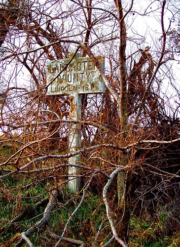 Signpost among dead vegetation
