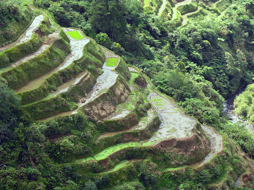 The Banaue Rice Terraces