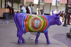 Cow Parade Lala Tijuana 2008