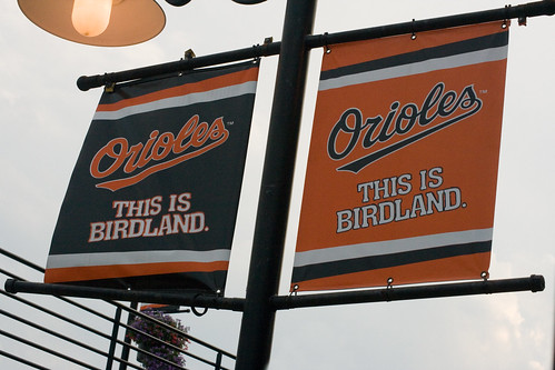 Camden Yards - A Place for Birds