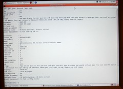 Running Ubuntu Live (before hard disks installed)