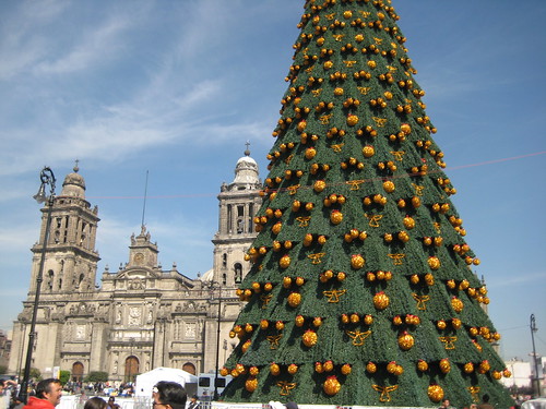 árbol de navidad y catedral metropolitana centro zócalo / christmas tree and metropolitan chatedral at mexico's city downtown