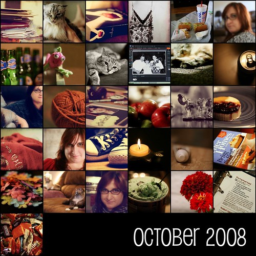 October 2008  [project 365]