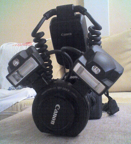 MT-24EX Twin Flash on a Canon 40D and MP-E65 1X-5X Macro Lens