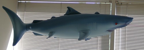 Emergent Product-Management Shark (Profile)