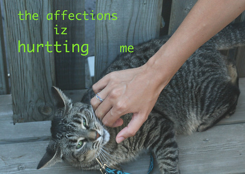 affections
