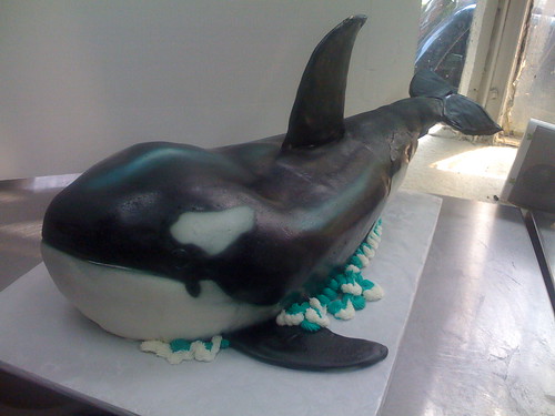 Killer Whale Cake