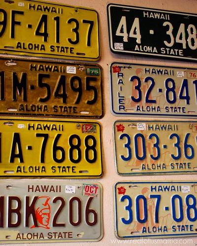 Hawaiian plates